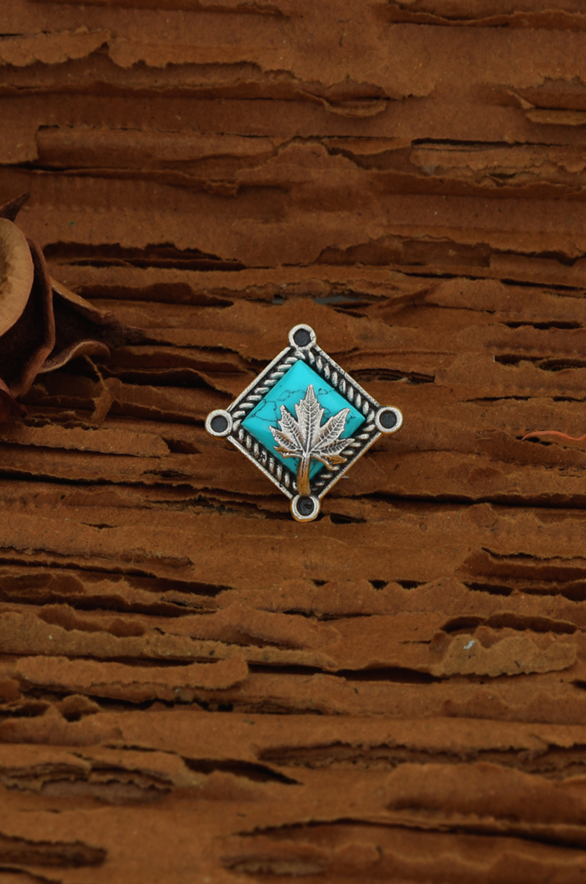 6th image description