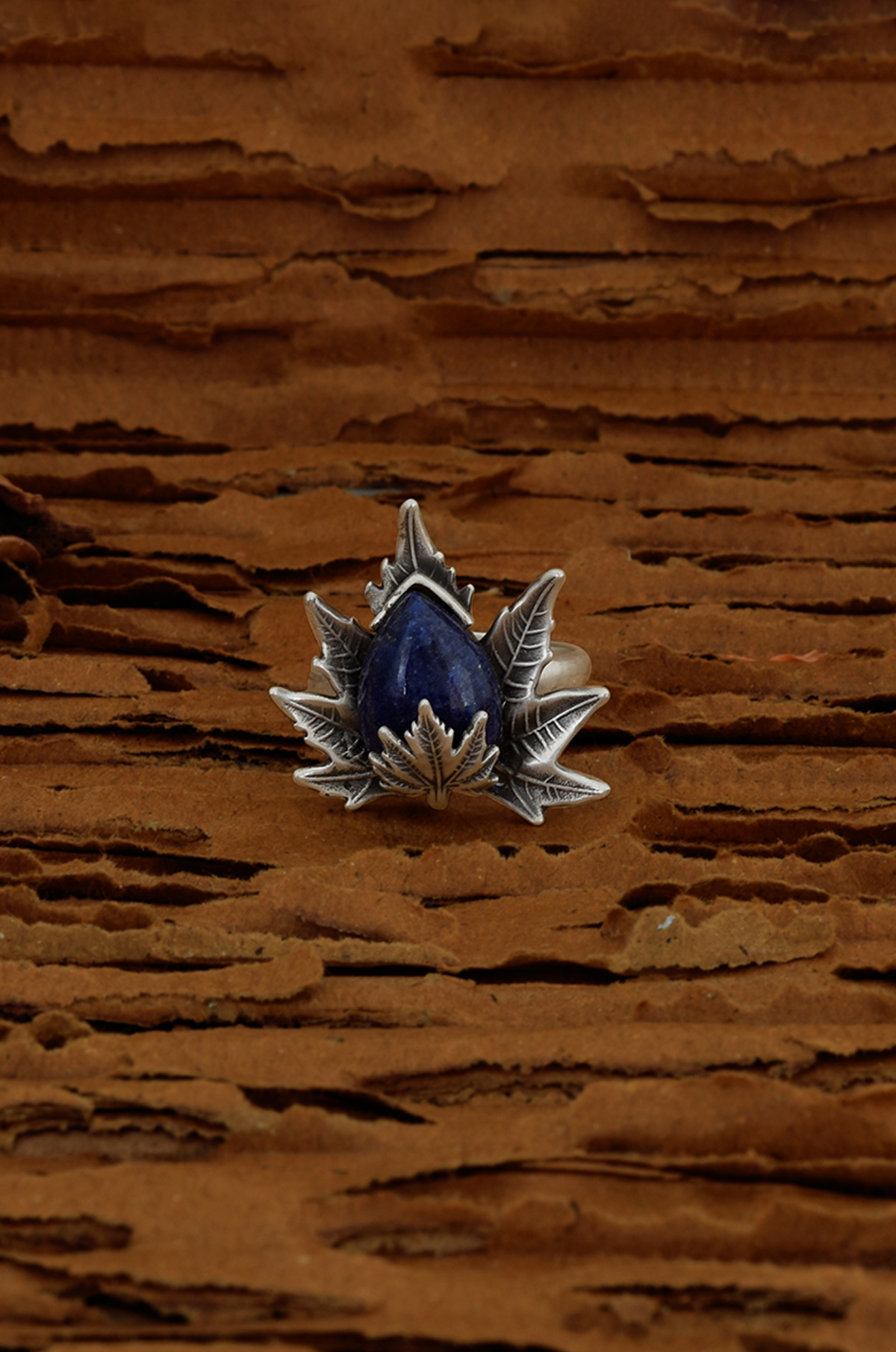 6th image description