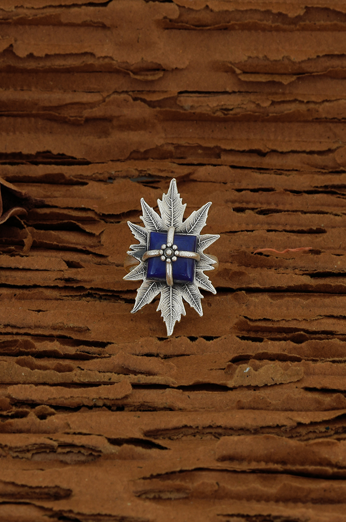 6th image description