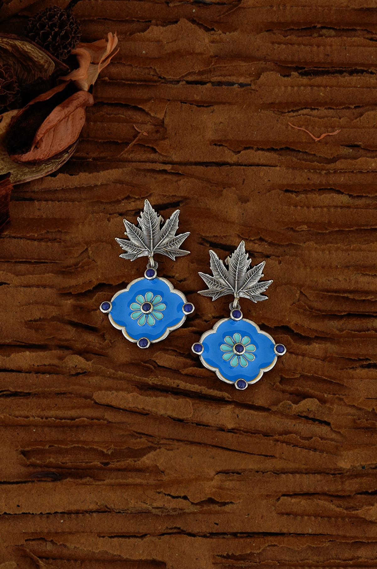 6th image description