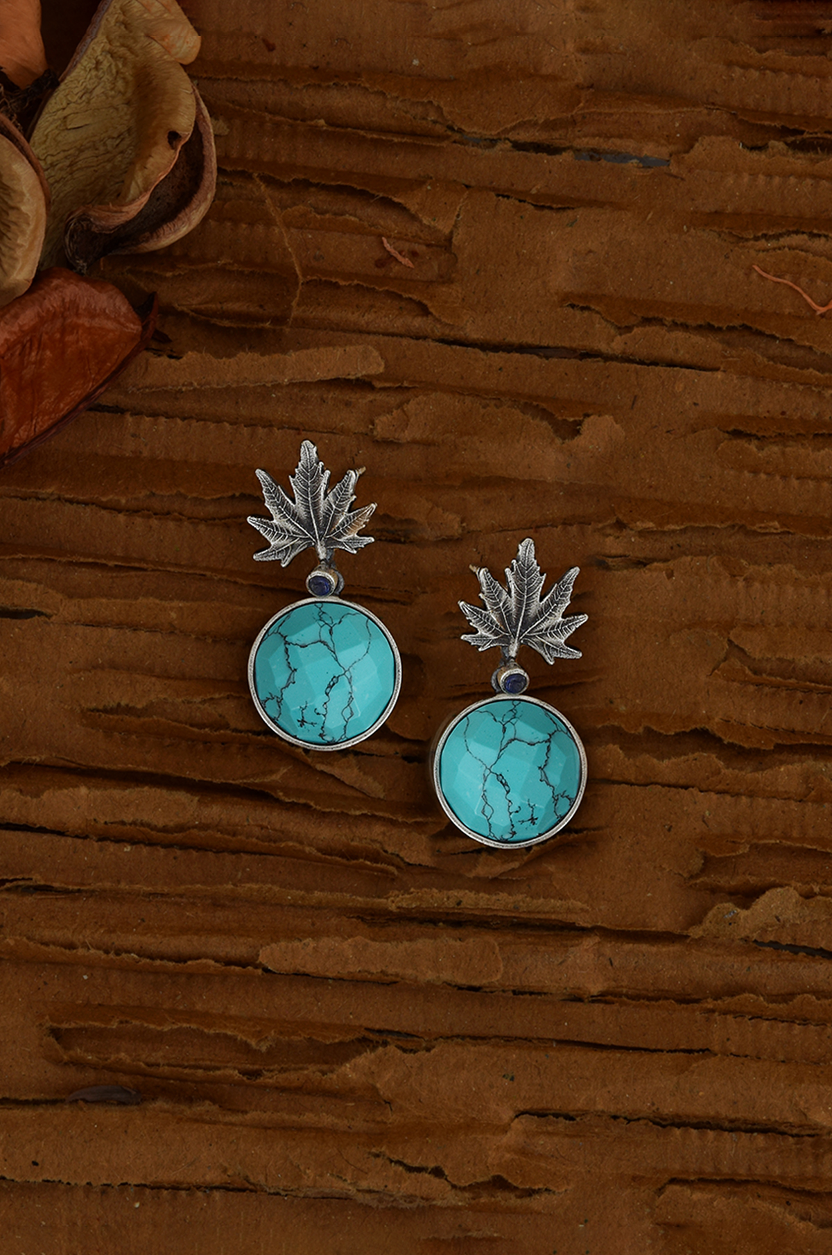 6th image description