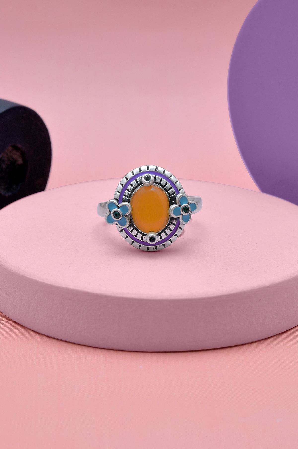 6th image description