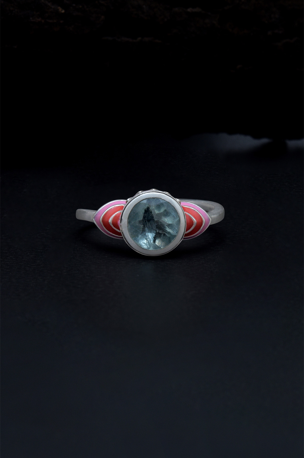 7th image description