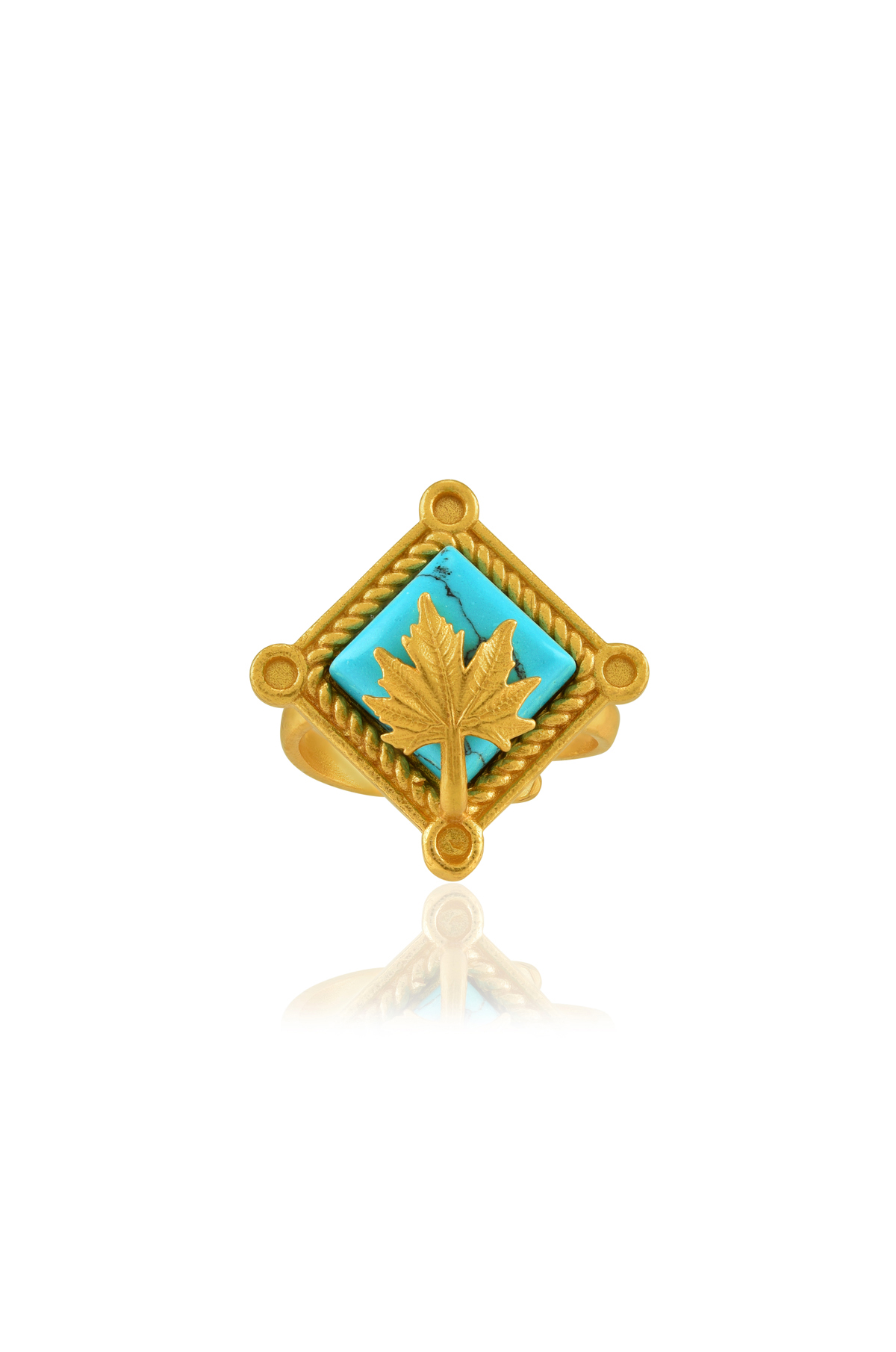 https://tribeazurecdn.tribeamrapali.com/catalog/00/35/35979_1_1b5d0652f1864f43a55d33428a3d14f9.jpg